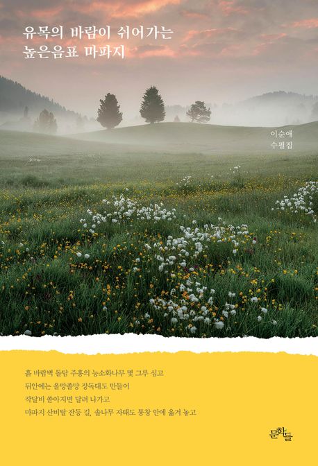 유목의 바람이 쉬어가는 높은음표 마파지 : 이순애 수필집