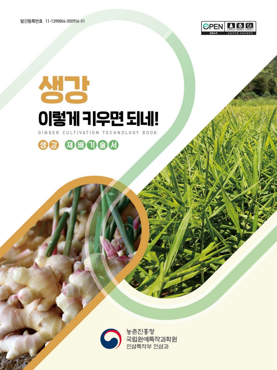 생강 이렇게 키우면 되네! : 생강 재배기술서