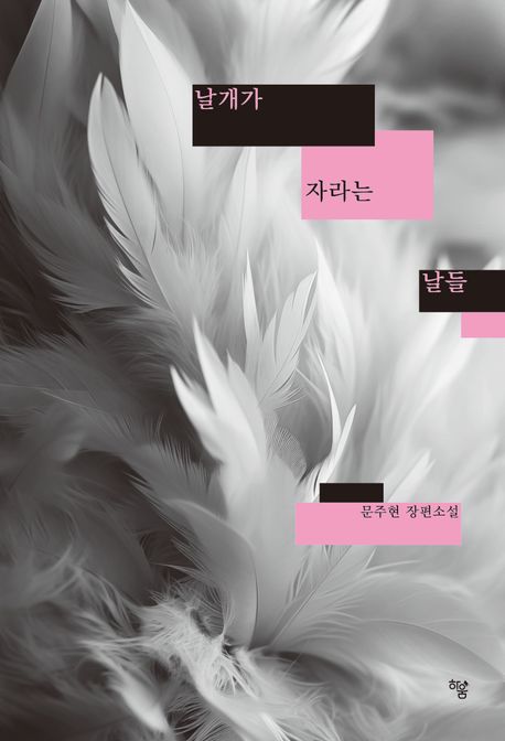 날개가 자라는 날들 : 문주현 장편소설