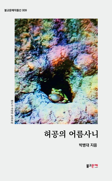 허공의 어름사니 : 박병대 작품집