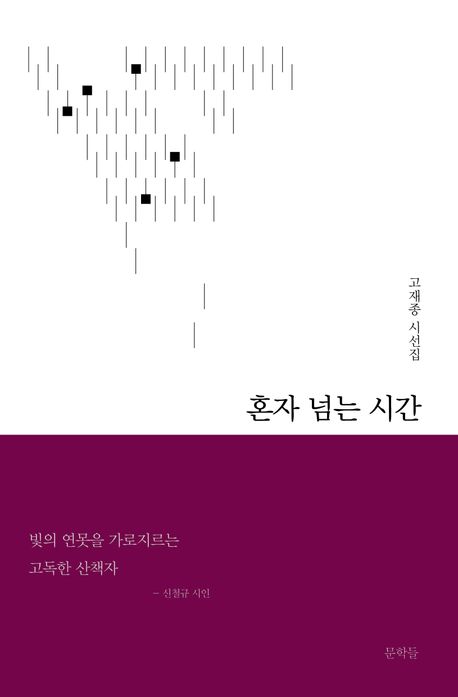 혼자 넘는 시간 : 고재종 시선집