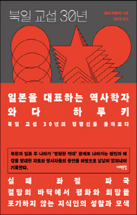 북일 교섭 30년 [전자자료]