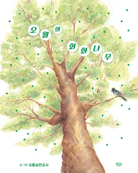 오월의 회화나무