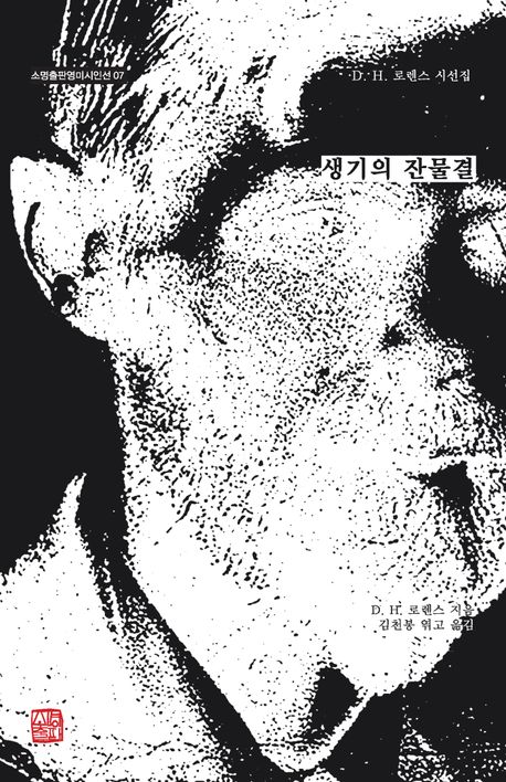 생기의 잔물결 : D.H. 로렌스 시선집