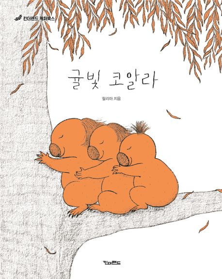 귤빛 코알라