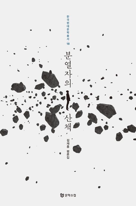 분열자의 산책 : 김재홍 평론집
