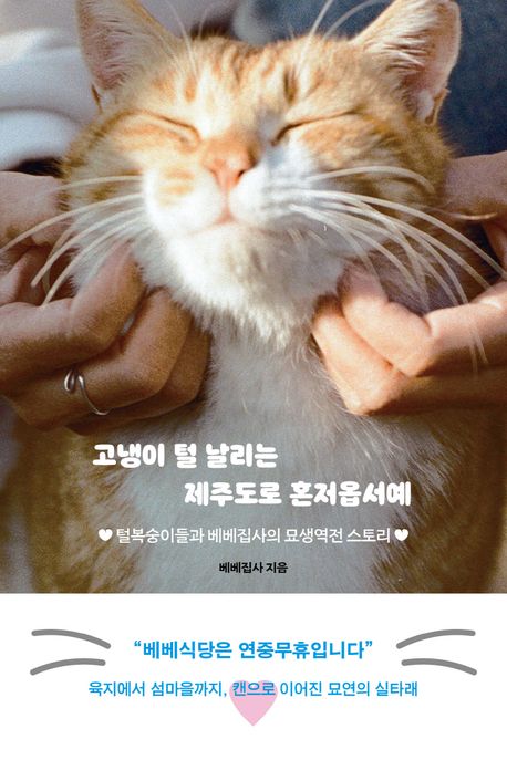 고냉이 털 날리는 제주도로 혼저옵서예 : 털복숭이들과 베베집사의 묘생역전 스토리