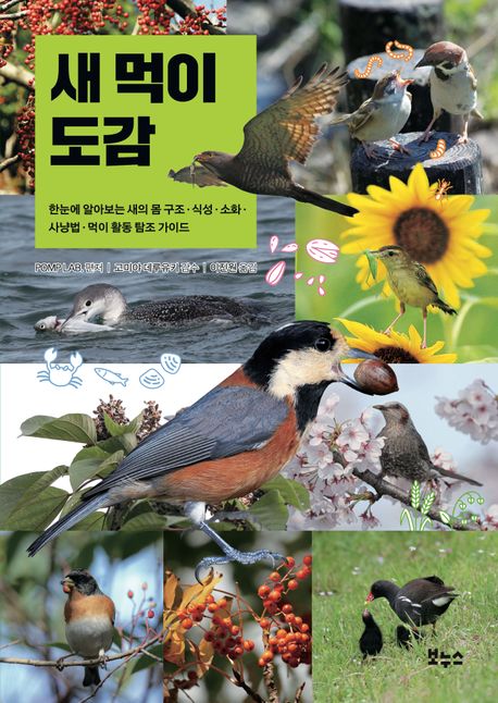 새 먹이 도감 : 한눈에 알아보는 새의 몸 구조·식성·소화·사냥법·먹이 활동 탐조 가이드