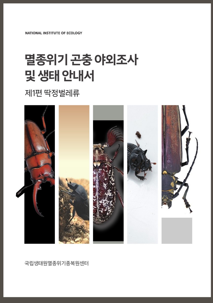 표지이미지