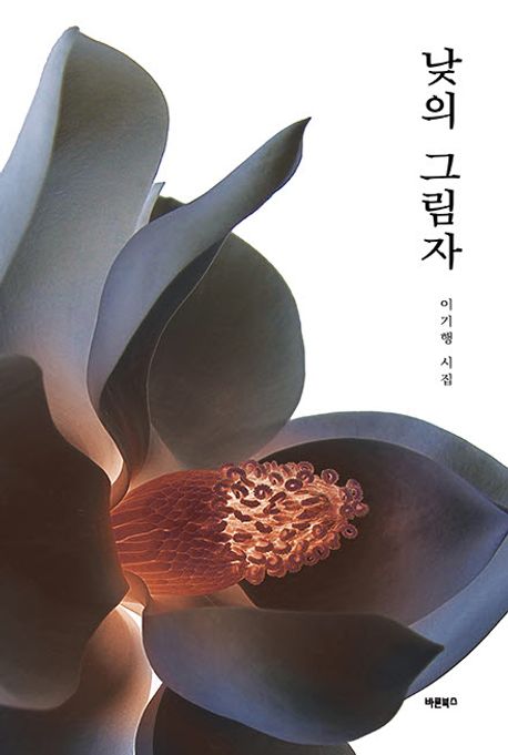 낮의 그림자 : 이기행 시집