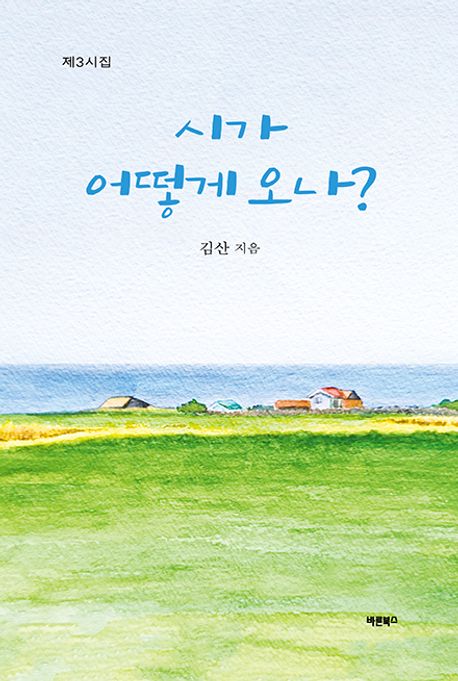 시가 어떻게 오나? : 제3시집