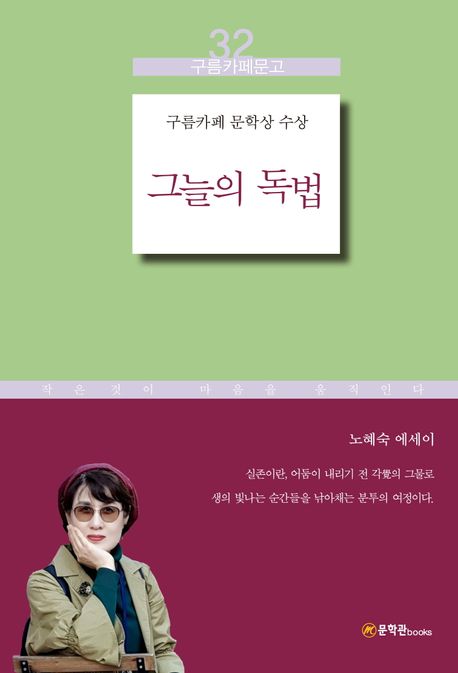 그늘의 독법 : 노혜숙 에세이