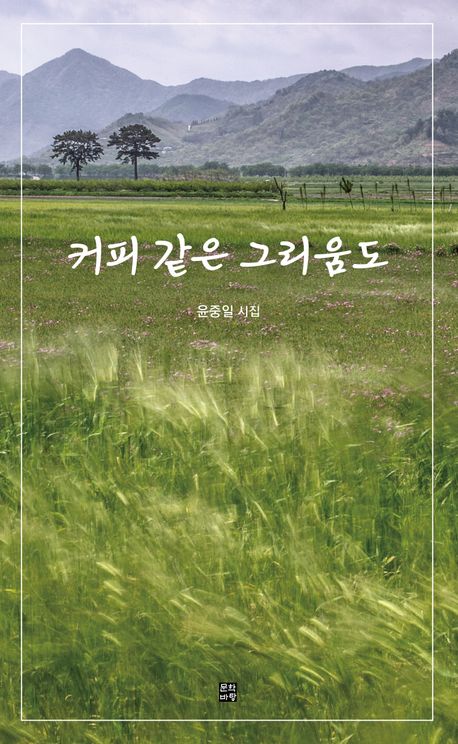 커피 같은 그리움도 : 윤중일 시집