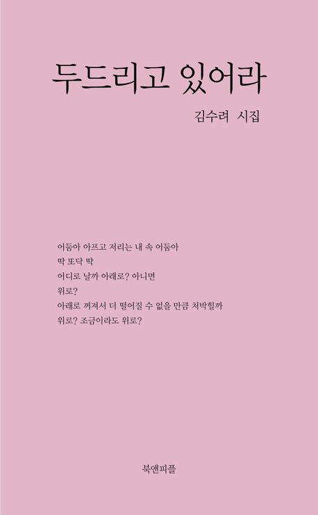 두드리고 있어라 : 김수려 시집