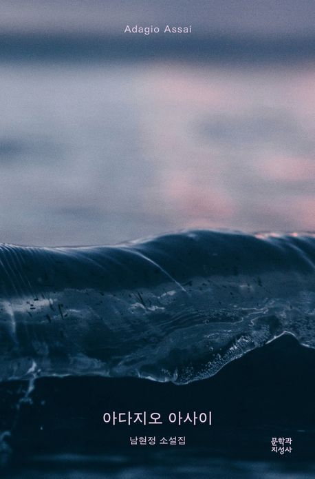 아다지오 아사이 = Adagio assai : 남현정 소설집