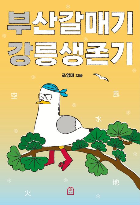 부산갈매기 강릉생존기