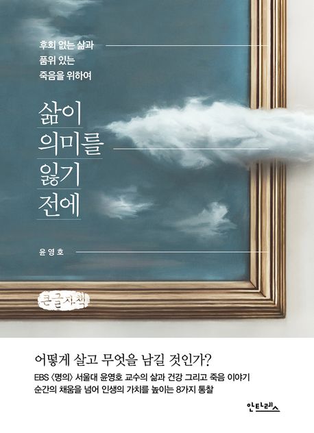 삶이 의미를 잃기 전에 : 후회 없는 삶과 품위 있는 죽음을 위하여 : 큰글자책