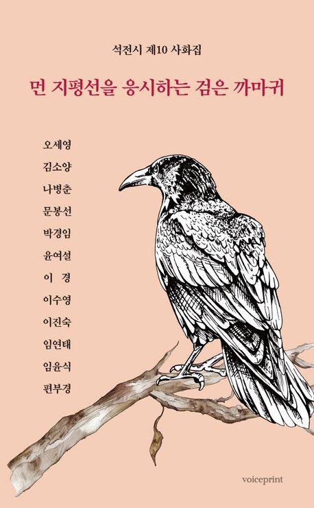 먼 지평선을 응시하는 검은 까마귀 : 석전시 제10 사화집