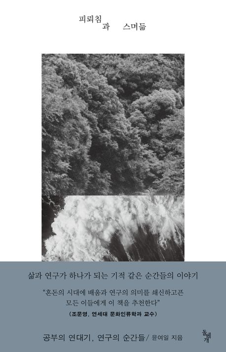 피뢰침과 스며듦 : 공부의 연대기, 연구의 순간들