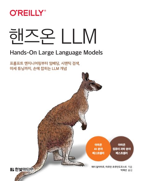 핸즈온 LLM : 프롬프트 엔지니어링부터 임베딩, 시맨틱 검색, 미세 튜닝까지, 손에 잡히는 LLM 개념