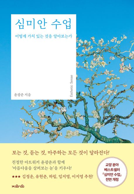 심미안 수업 = Esthetic sense : 어떻게 가치 있는 것을 알아보는가