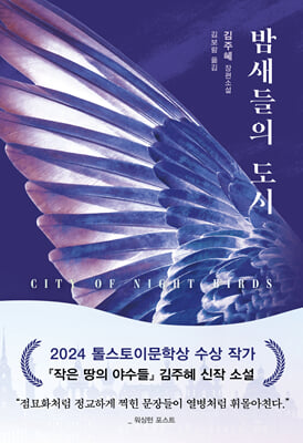 밤새들의 도시 [전자자료] : 김주혜 장편소설