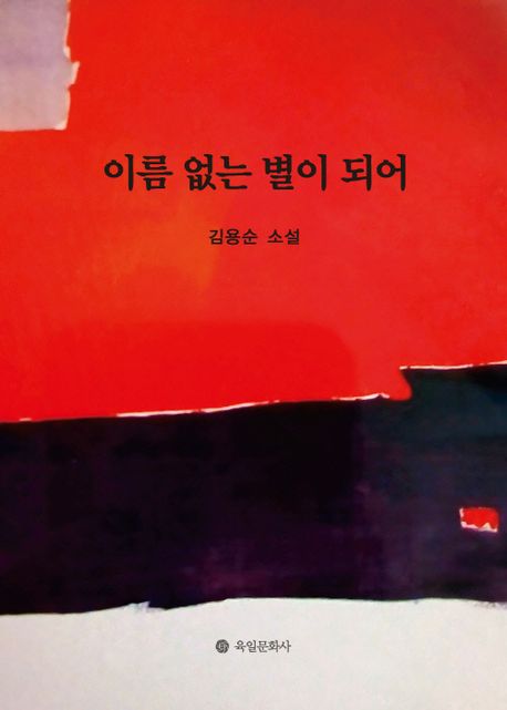 이름 없는 별이 되어 : 김용순 소설