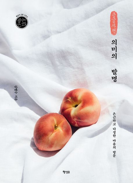 의미의 발명 : 은근하고 다정한 마음의 방문 : 큰글자책
