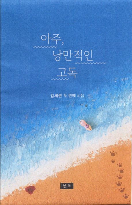 아주, 낭만적인 고독 : 김세련 두 번째 시집