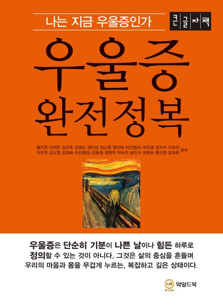 우울증 완전정복 : 나는 지금 우울증인가 : 큰글자책