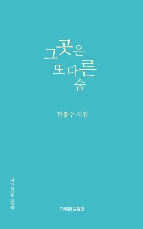 그곳은 또 다른 숨 : 전봉수 시집