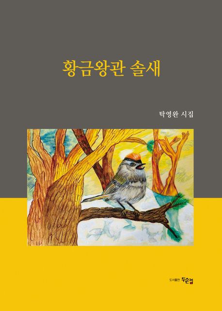 황금왕관 솔새 : 탁영완 시집