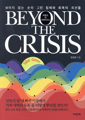 비욘드 더 크라이시스 [전자자료] = Beyond the crisis : 보이지 않는 손이 그린 침체와 회복의 곡선들