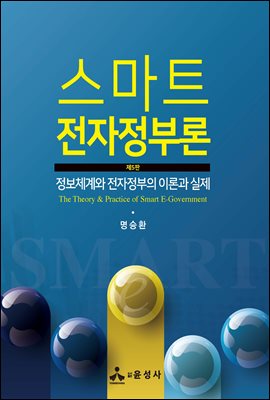 스마트 전자정부론 [전자자료] = The theory & practice of smart e-government : 정보체계와 전자정부의 이론과 실제