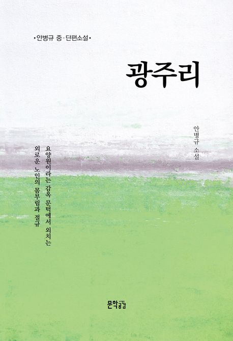 광주리 : 안병규 중·단편 소설
