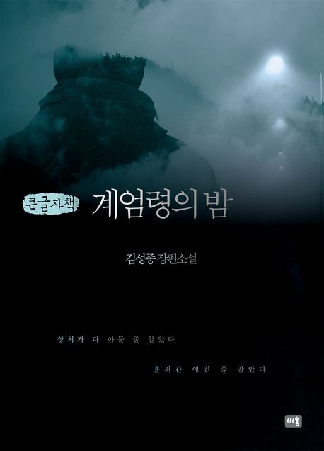 계엄령의 밤 : 김성종 장편소설 : 큰글자책