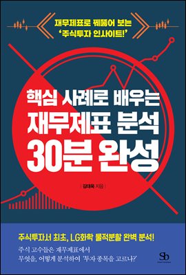 (핵심 사례로 배우는) 재무제표 분석 30분 완성 [전자자료] : 재무제표로 꿰뚫어 보는 '주식투자 인사이트!'