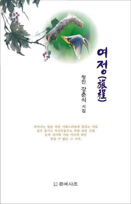 여정 : 청진 강춘식 시집