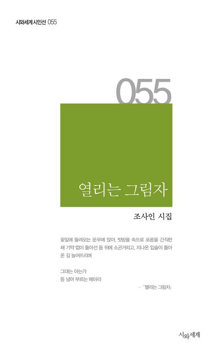 열리는 그림자 : 조사인 시집