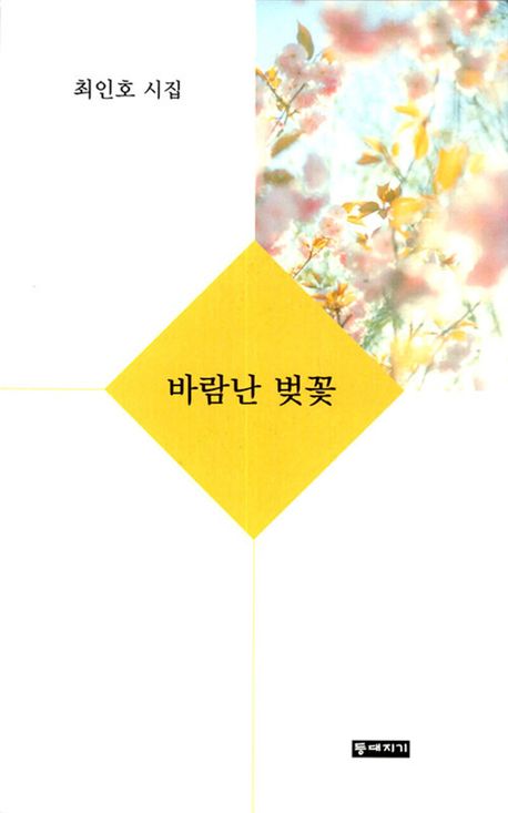바람난 벚꽃 : 최인호 시집