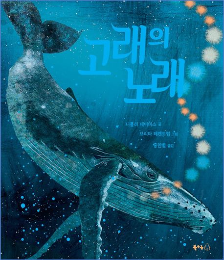 고래의 노래