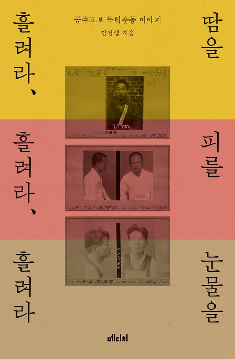 땀을 흘려라, 피를 흘려라, 눈물을 흘려라 : 공주고보 독립운동 이야기