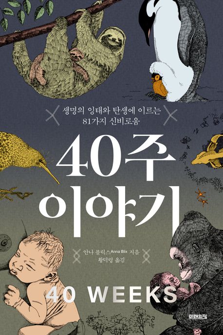 40주 이야기 = 40 weeks : 생명의 잉태와 탄생에 이르는 81가지 신비로움