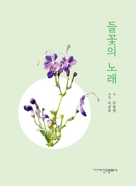 들꽃의 노래