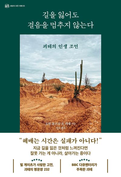 길을 잃어도 걸음을 멈추지 않는다 : 괴테의 인생 조언