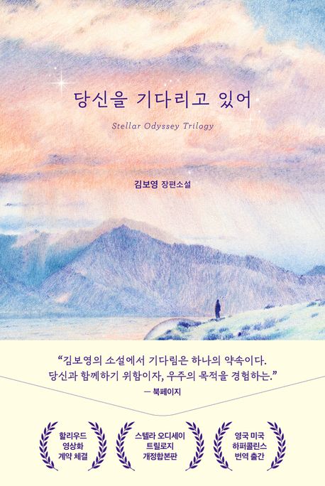 당신을 기다리고 있어 : 김보영 장편소설