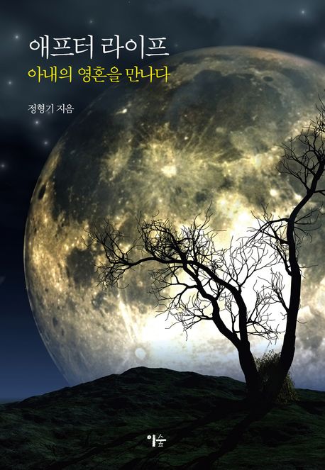 애프터 라이프 : 아내의 영혼을 만나다