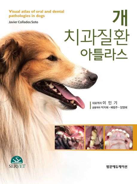 개 치과질환 아틀라스