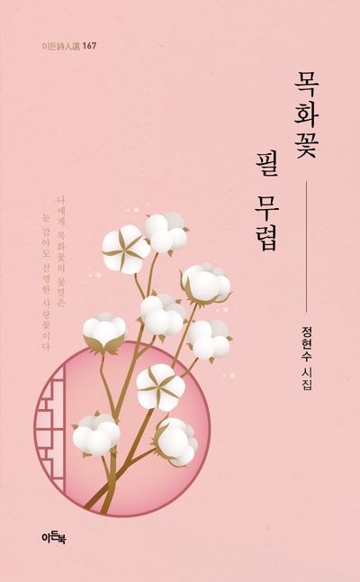 목화꽃 필 무렵 : 정현수 시집