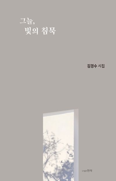 그늘, 빛의 침묵 : 김경수 시집